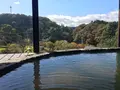 黒川温泉 旅館 こうの湯の写真_110913