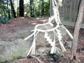 廣峯神社の写真_111004