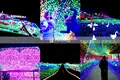 東京ドイツ村の写真_111326