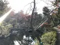根津美術館の写真_111643