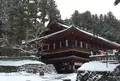 輪王寺の写真_111947