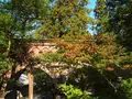 水路閣の写真_112014