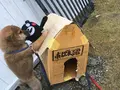 ガレットの写真_112266