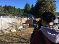 苺凛香 ばいりんかの写真_112323