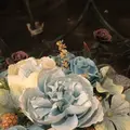 サンクチュアリの写真_112326