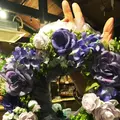 サンクチュアリの写真_112328