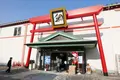 鯛祭り広場の写真_112580