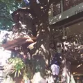 レ・グラン・ザルブルの写真_112726