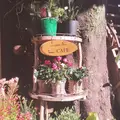 レ・グラン・ザルブルの写真_112727