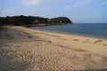 心臓音のアーカイブの写真_112839