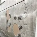 熊谷守一美術館の写真_113094