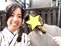 伏見稲荷大社の写真_113158