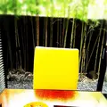 神山 （カミヤマ【旧店名】清山）の写真_113353