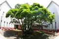 横浜開港資料館の写真_113500