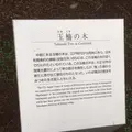 横浜開港資料館の写真_113501
