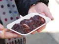 曽我梅林の写真_113642