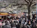 曽我梅林の写真_113643