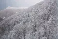 蔵王ロープウェイの写真_113660