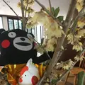 阿蘇白水郷美術館の写真_113792