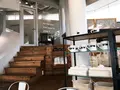 モンキー カフェ （Monkey Cafe） の写真_113808