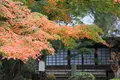 中院の写真_113925
