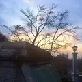 横浜外国人墓地の写真_113957
