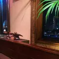 サンアロハ みなとみらい本店の写真_113975