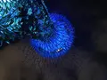 ガーデンズ・バイ・ザ・ベイの写真_114029
