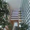 Spagoの写真_114047
