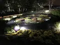 ガーデンズ・バイ・ザ・ベイの写真_114050