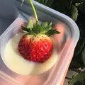 山元いちご農園の写真_114209