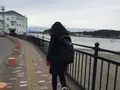 葉山ヨットハーバーの写真_114922