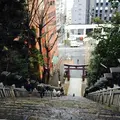 愛宕神社の写真_114937