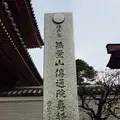 伝通院の写真_114947