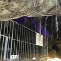 シルミチューの写真_115002