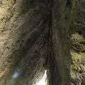 斎場御嶽の写真_115005