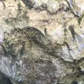 斎場御嶽の写真_115006
