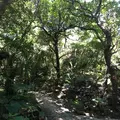 斎場御嶽の写真_115007