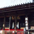東叡山 寛永寺の写真_115132