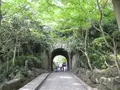 鎌倉文学館の写真_115188