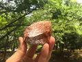 清澄公園の写真_115200