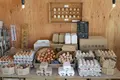 北坂養鶏場の写真_115377