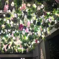 24"7の写真_115592