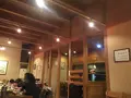 どんぐりの写真_115701