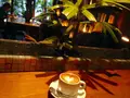 Cafe Bibliotic Helloの写真_115742