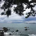 森戸神社の写真_115771