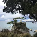 森戸神社の写真_115772