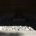 森戸神社の写真_115773
