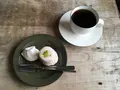 オクシモロン コマチ（OXYMORON komachi）の写真_115912