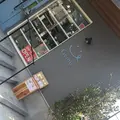 ドリッテの写真_115930